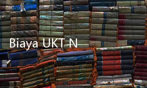 Biaya UKT Naik di Sejumlah PTN, DPR Curigai Pemotongan Subdidi dari Pemerintah