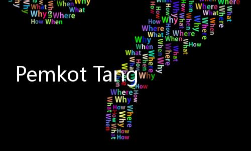 Pemkot Tangerang Bantu Menhub Sosialisasi aturan Angkutan Online