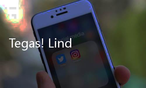 Tegas! Lindungi UMKM, Aplikasi Temu Dilarang Masuk Indonesia